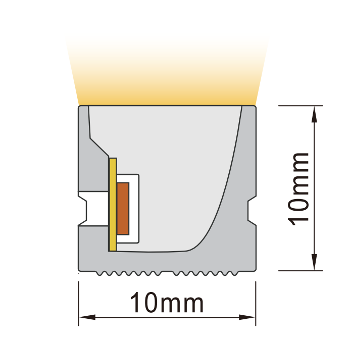 Side bend neon flex LED strip cross-section – 10mm x 10mm profile with internal PCB structure and top light output